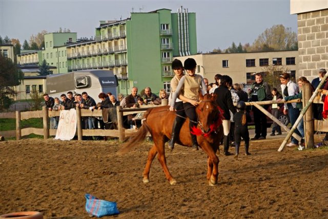 Hubertus 2009
